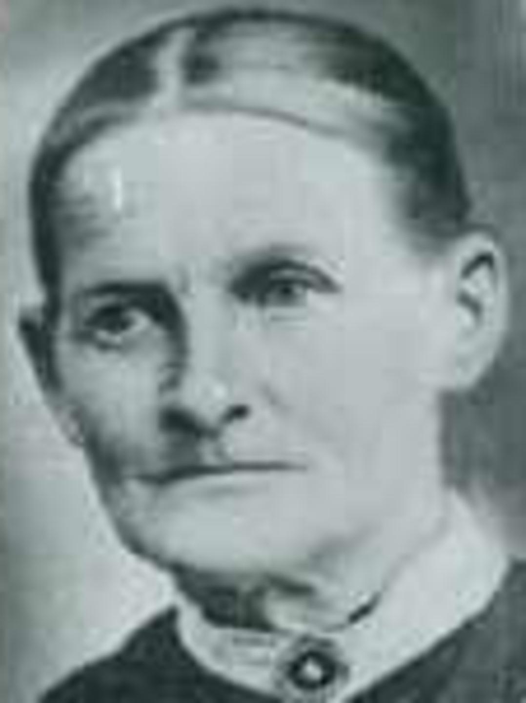 Susannah Mendenhall (1834 - 1909) Profile